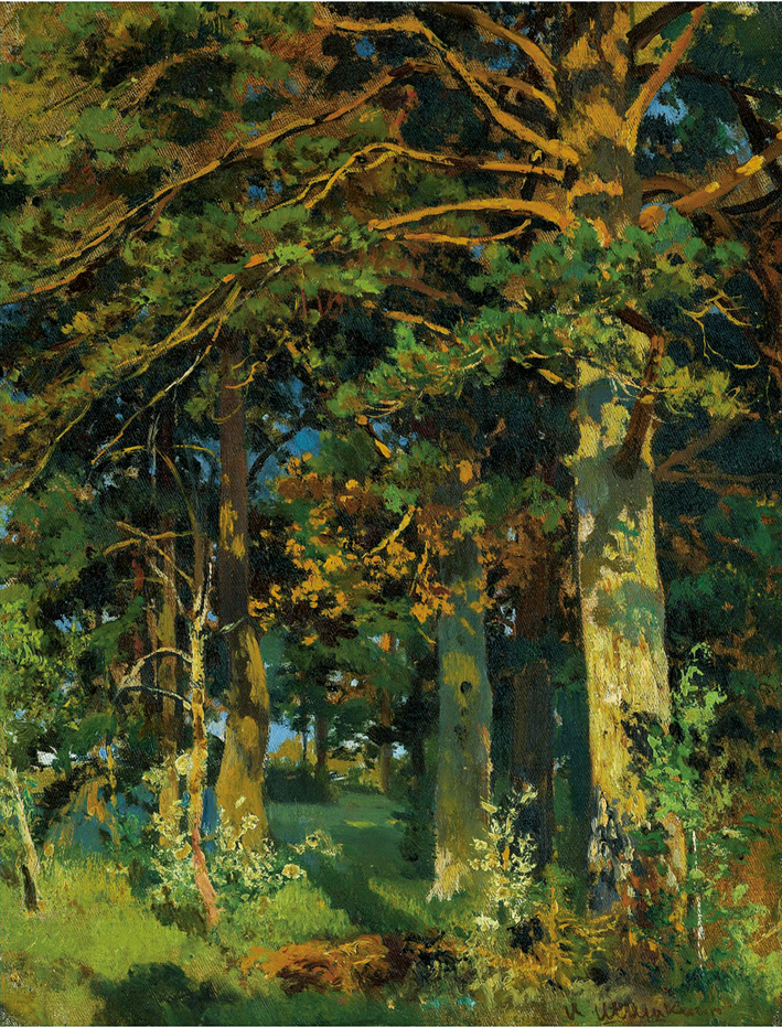  伊凡·伊凡诺维奇·希施金 Ivan I. Shishkin —— Ivan Shishkin-018